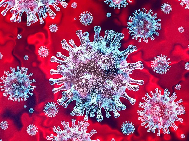 The coronavirus crisis reveals our need for common ground